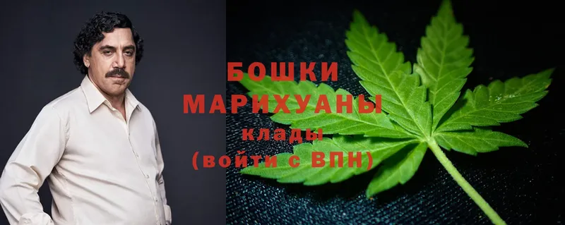 где найти   Нефтекумск  это клад  Бошки Шишки OG Kush 